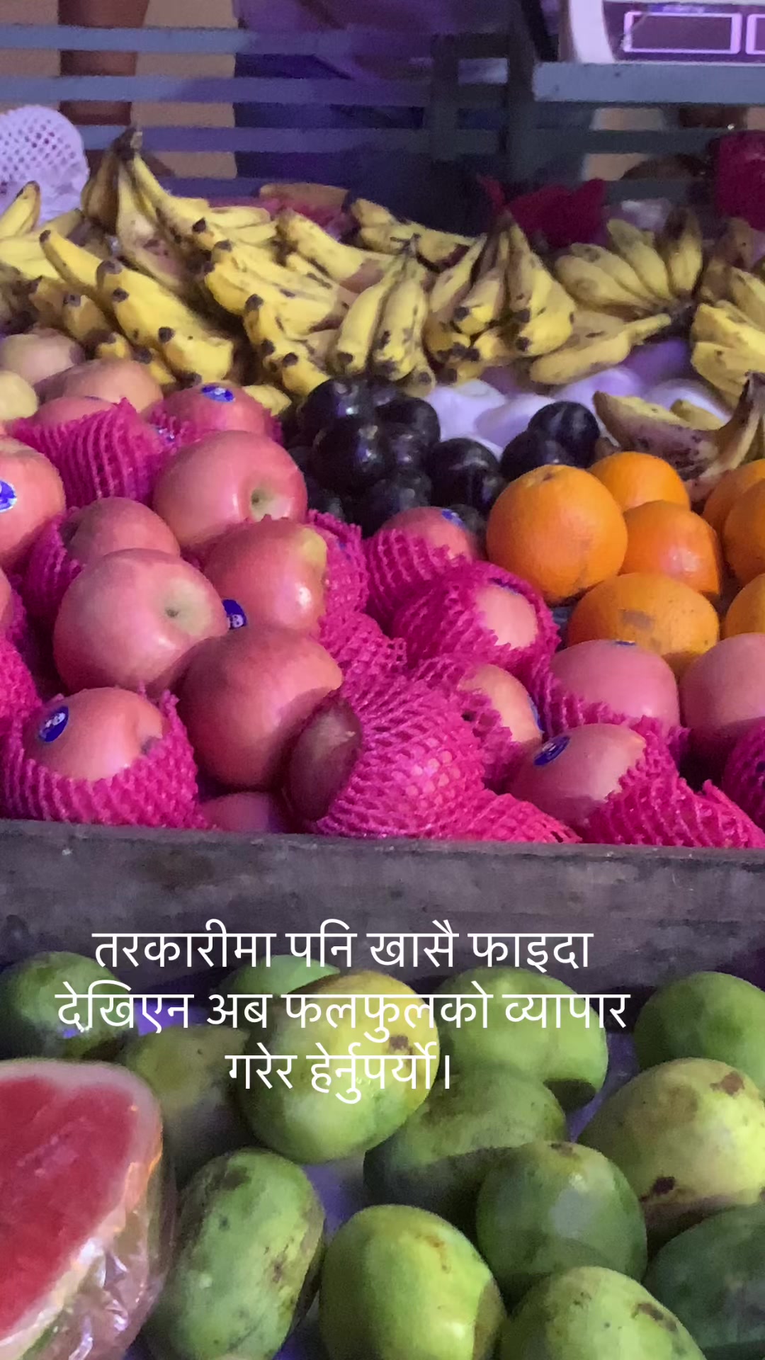 @राज लामा