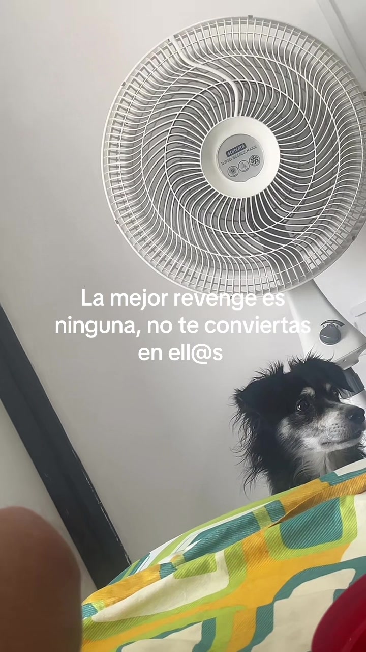@Jamssa