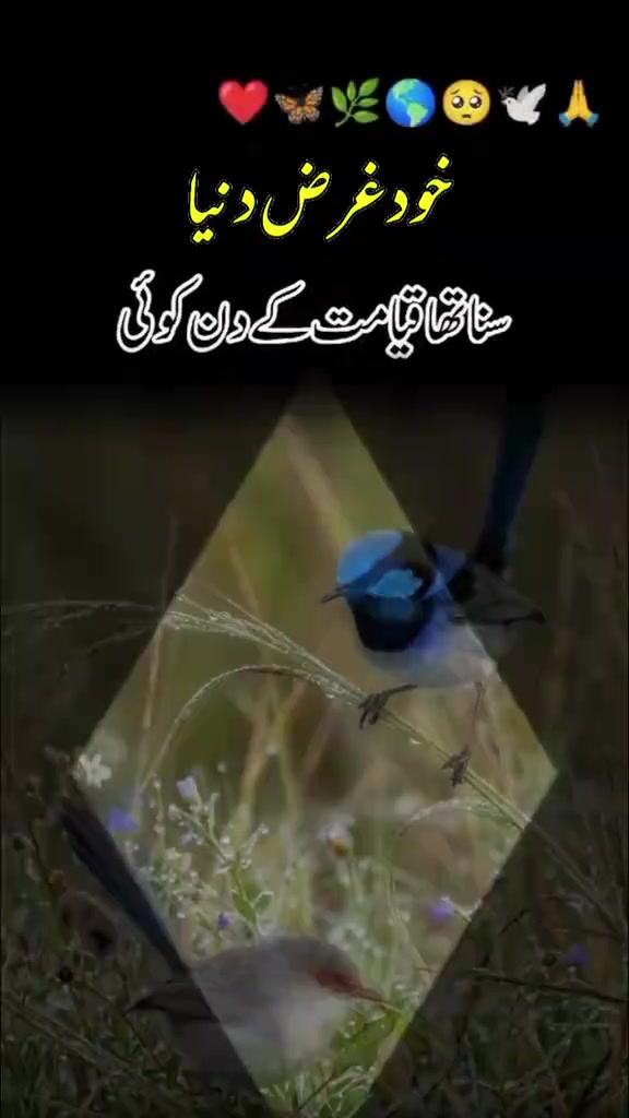 @Ghulam Mustafa satti