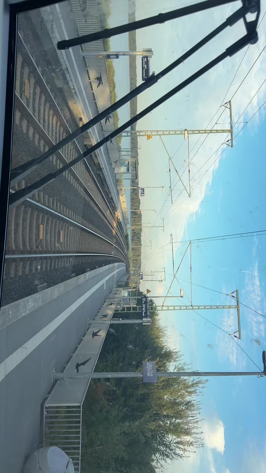 @Pitti_on_tour