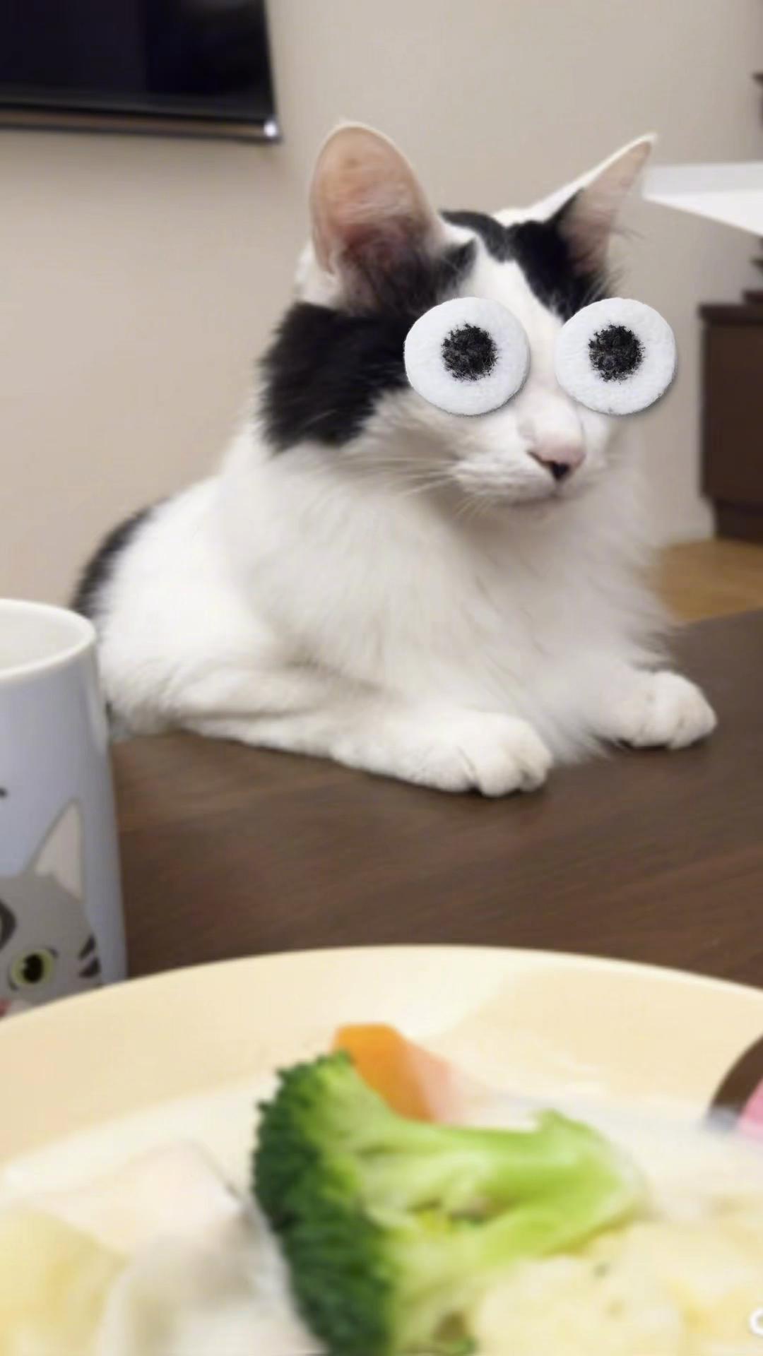@しらす