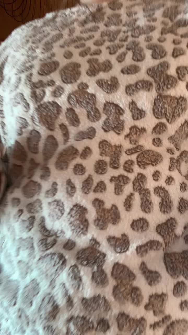 @arrissacarvellxo