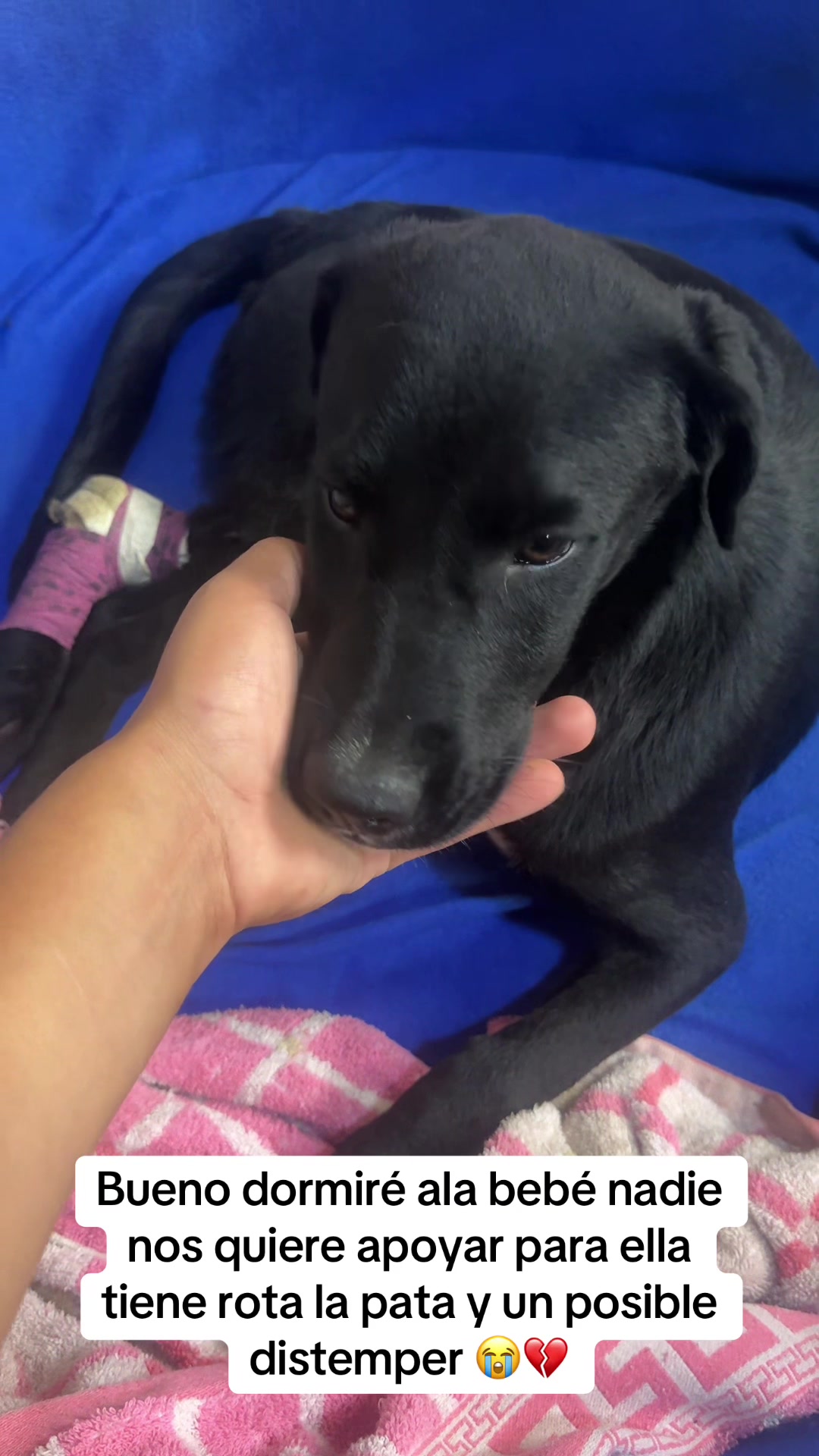 @GERSON EL&Iacute;AS