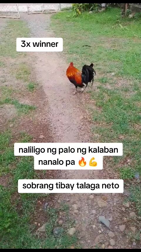 @kaymark alejandro