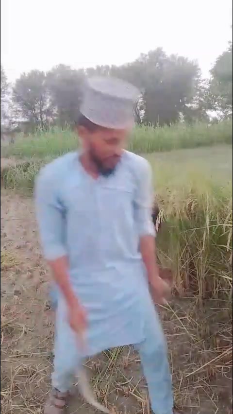 @malik