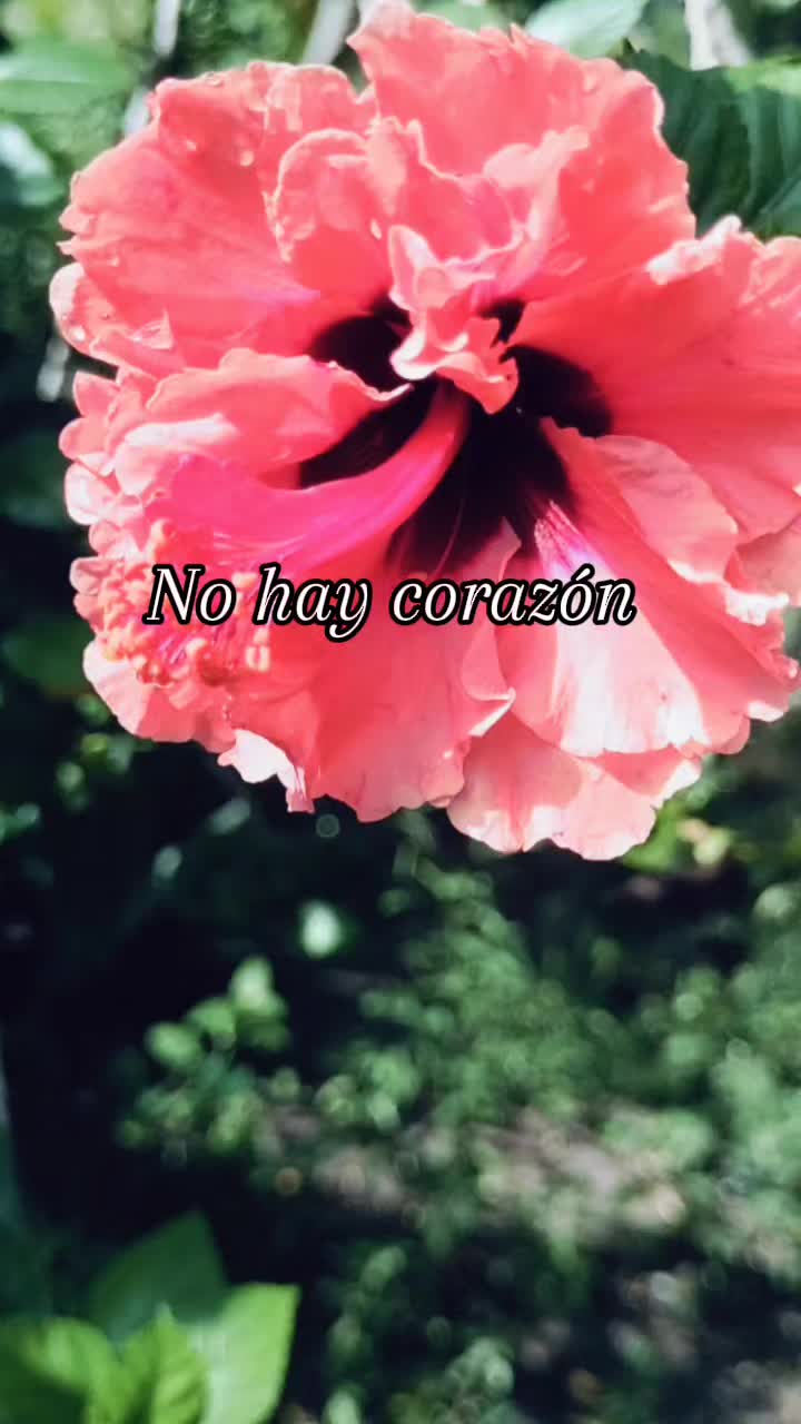 @erikaeligio