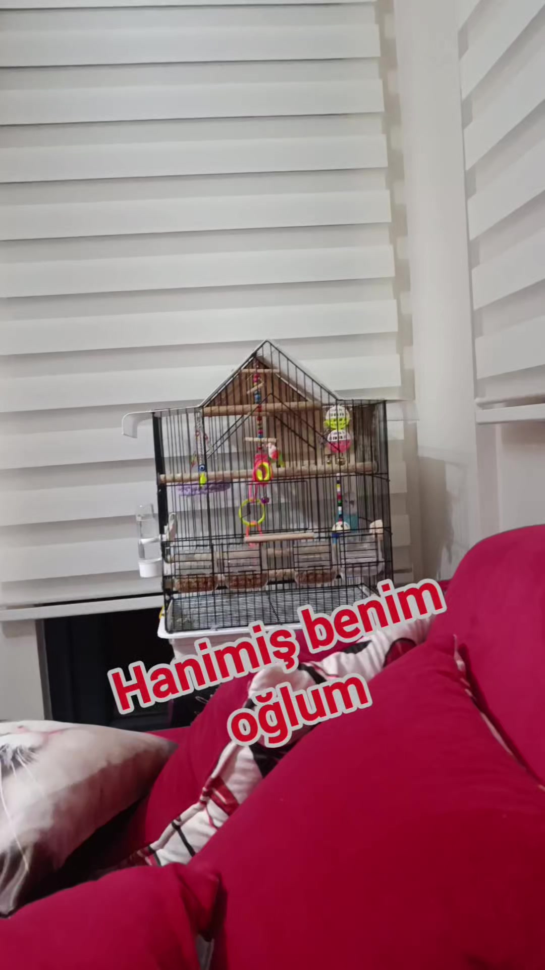 @Hümeyra