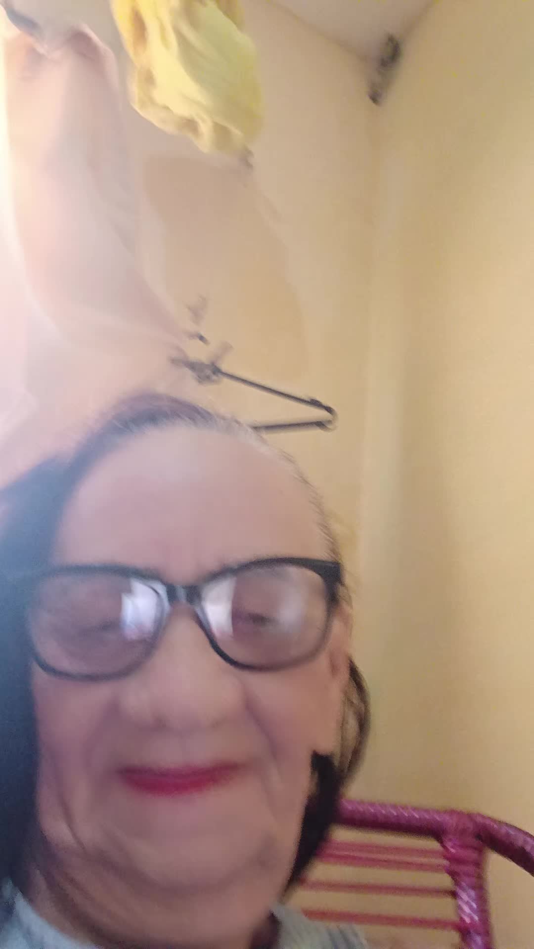 @dilzarodrigues657