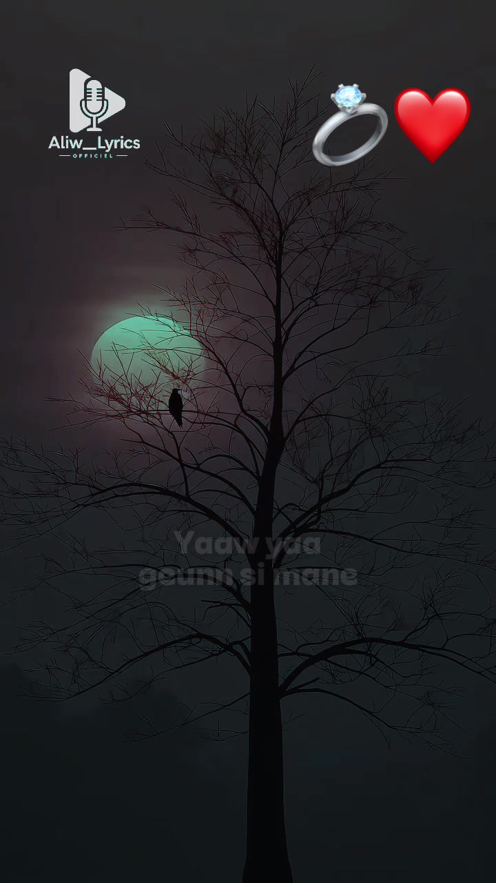@𝐀𝐋𝐈𝐖___𝐋𝐘𝐑𝐈𝐂𝐒 🎙️