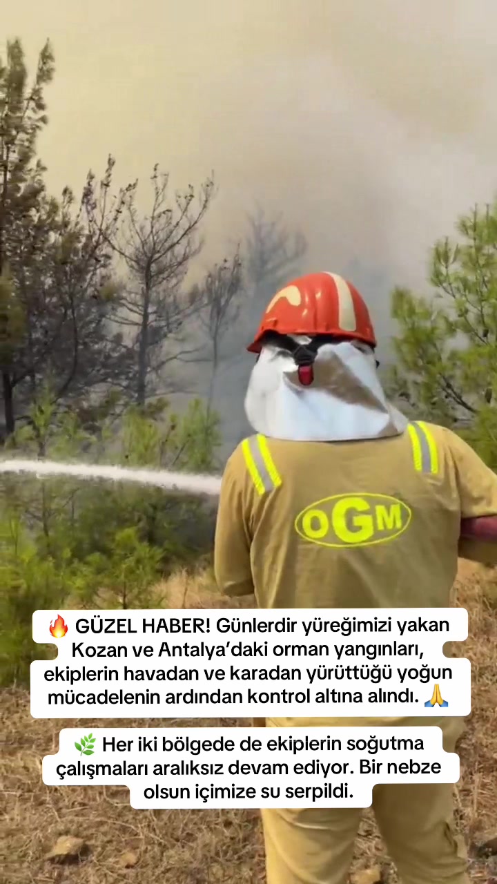 @Bizadanaliyik