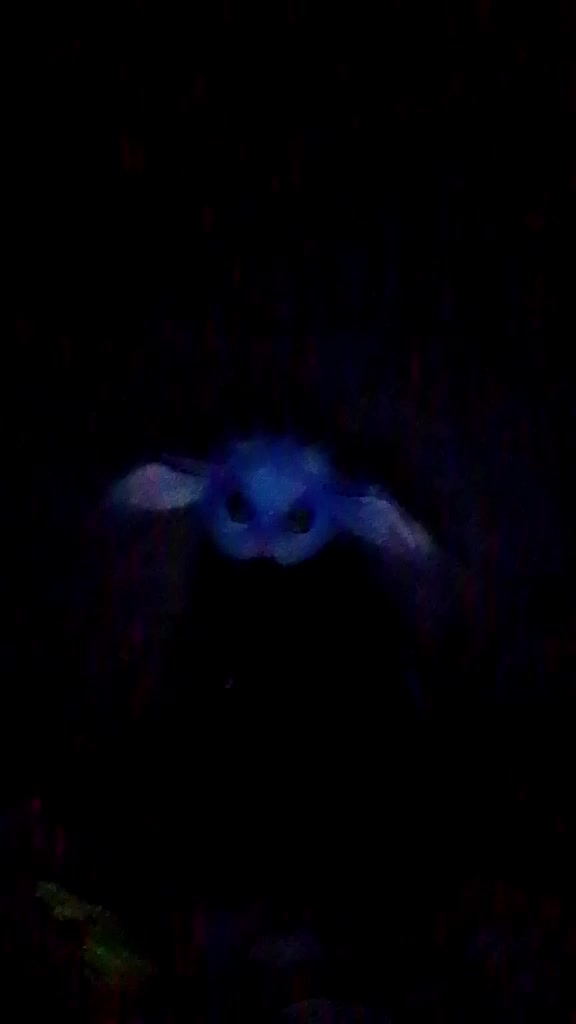 @📼╶⃝⃤luna.wolf╶⃝⃤📼