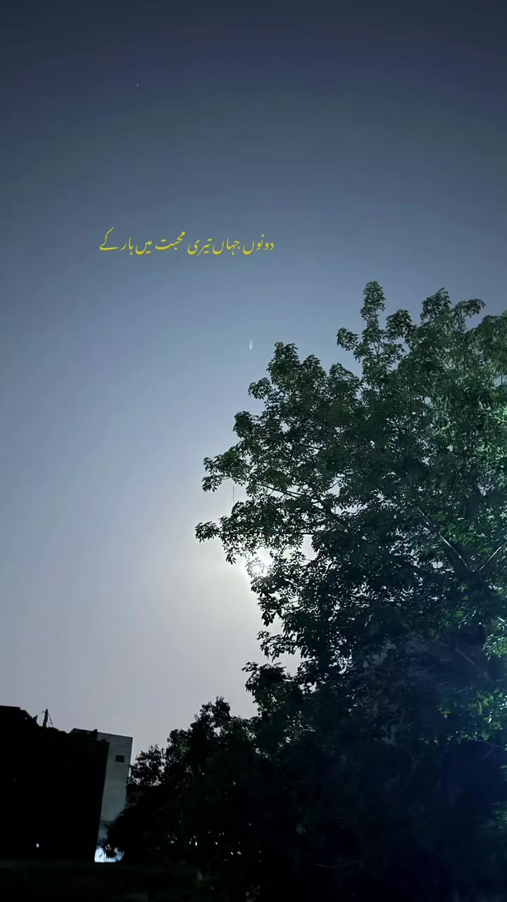 @Aneeq Tahir