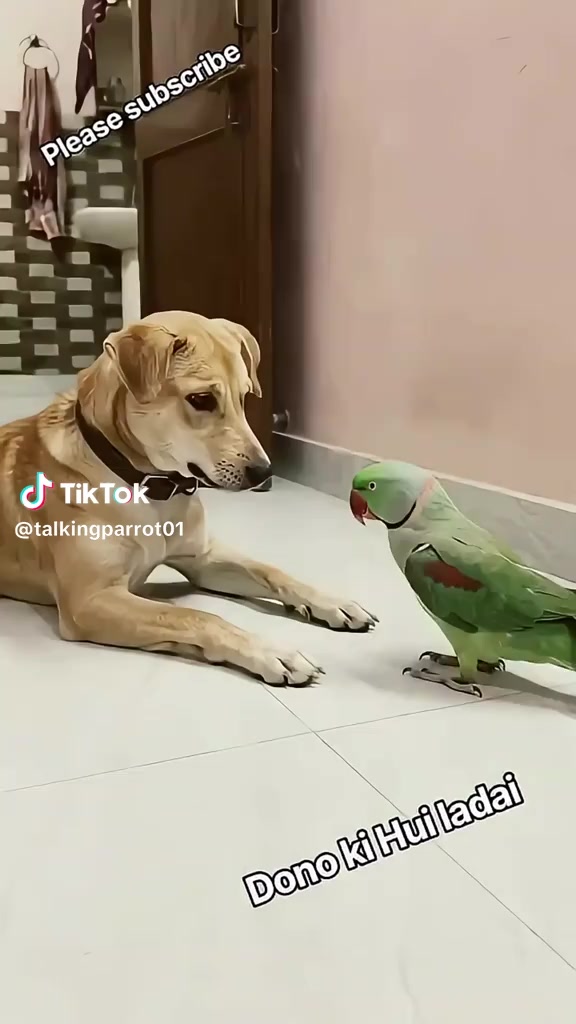 @Selami Pekmezci