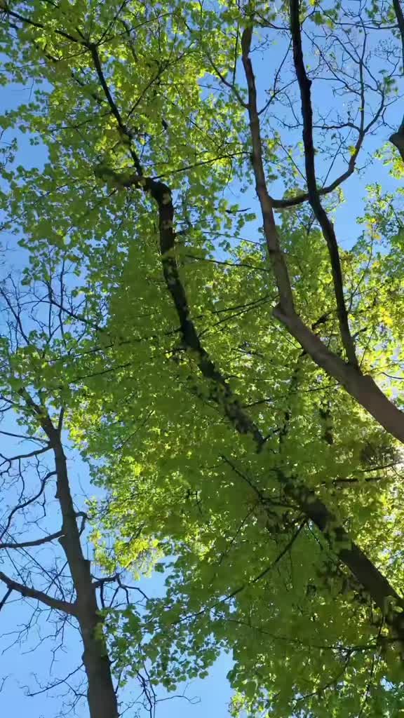 @💙Du&scaron;a od čoveka💙