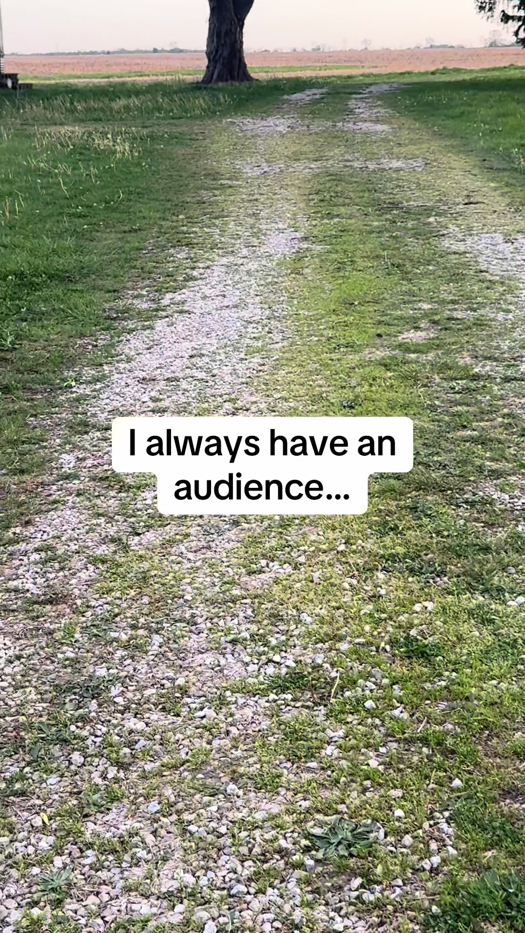 @Sarah