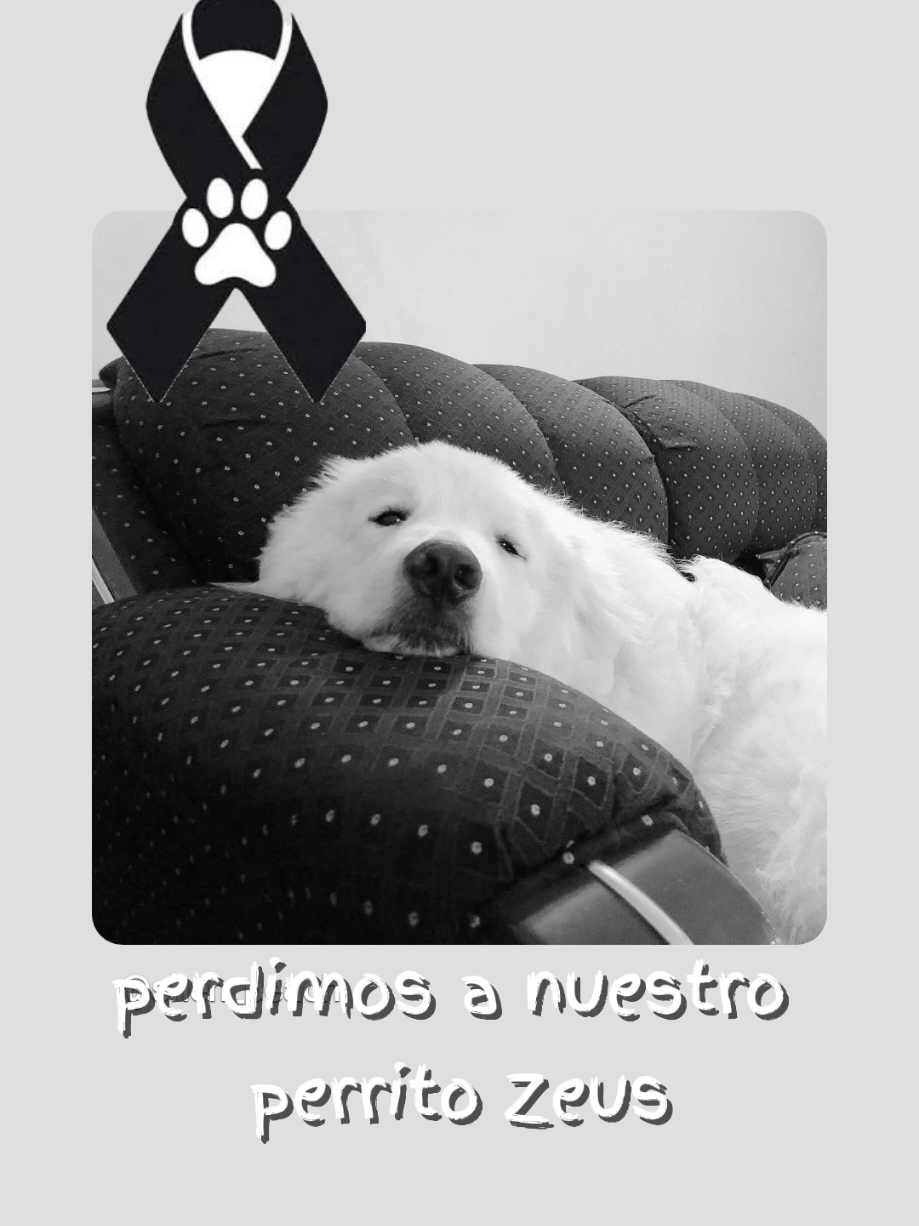 @shend_pichardo