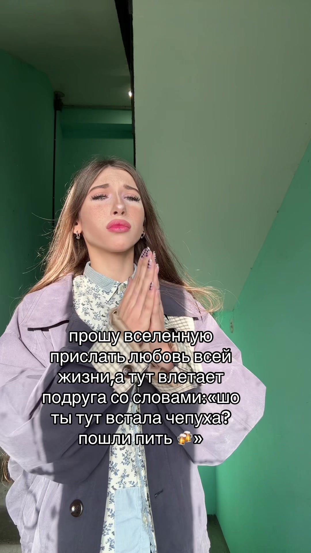 @кошка