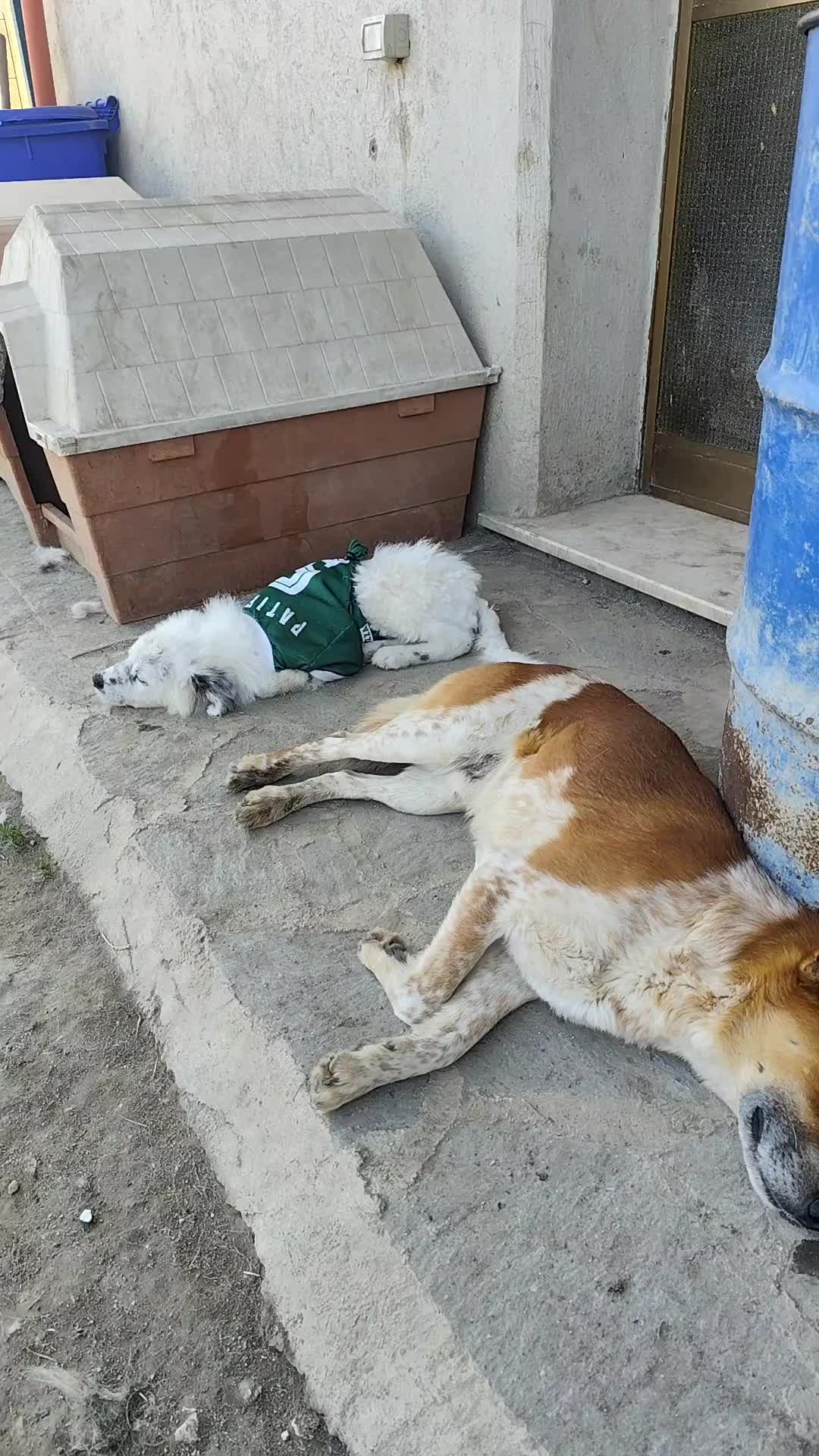 @Io e la mia karmela 🥰