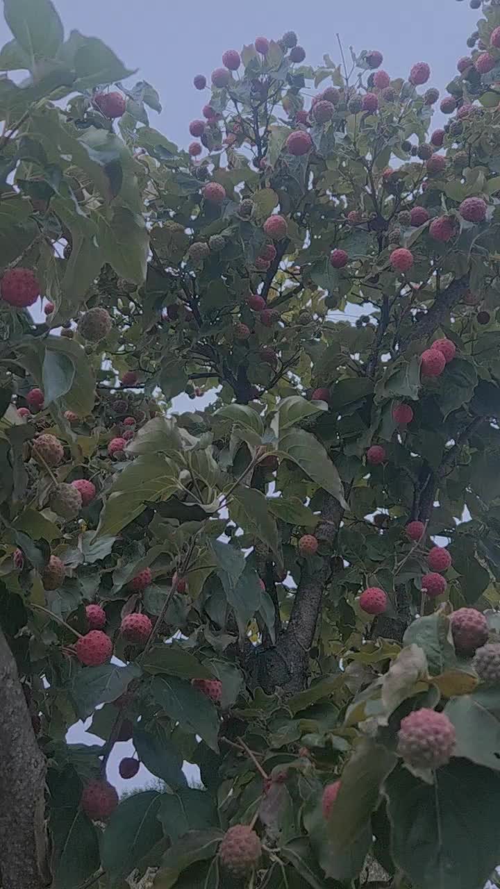 @법무사