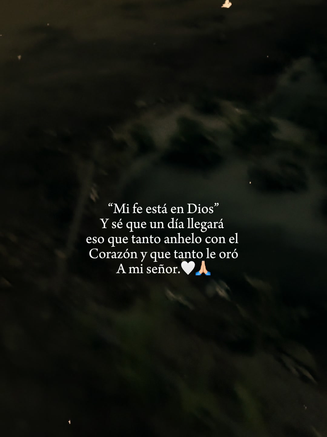 @Vzquezz S&aelig;bino😌😍