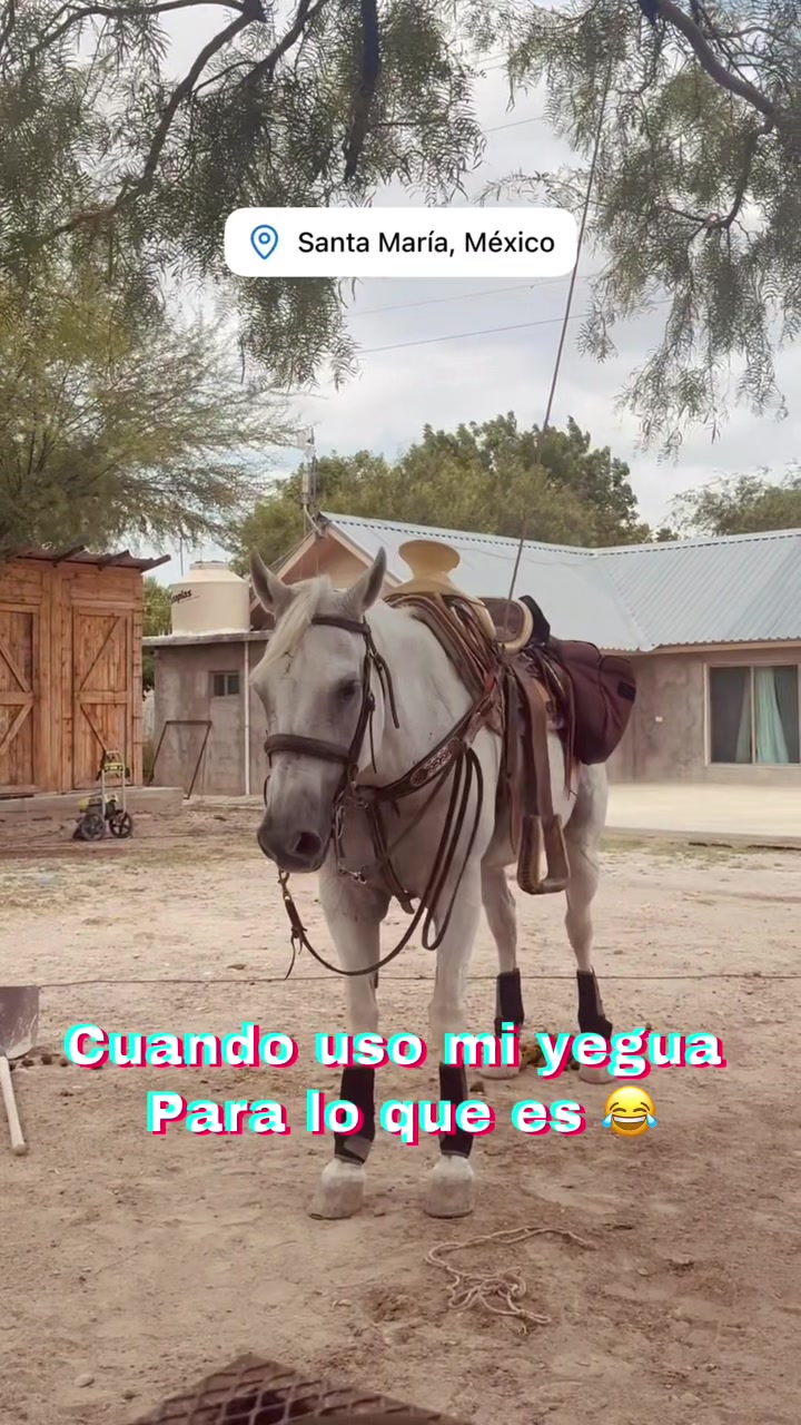 @Victor