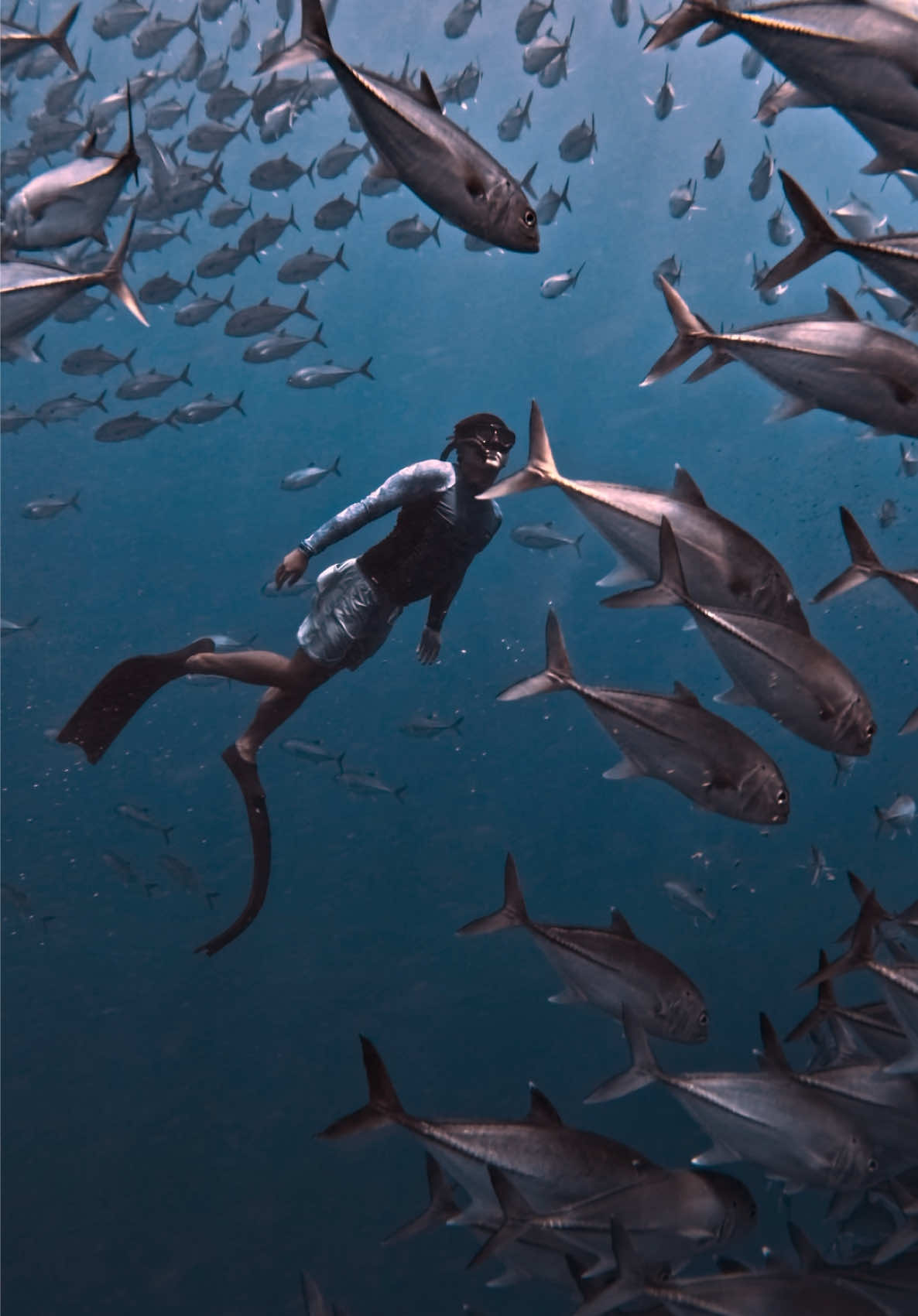 @@voltamazingfreediver