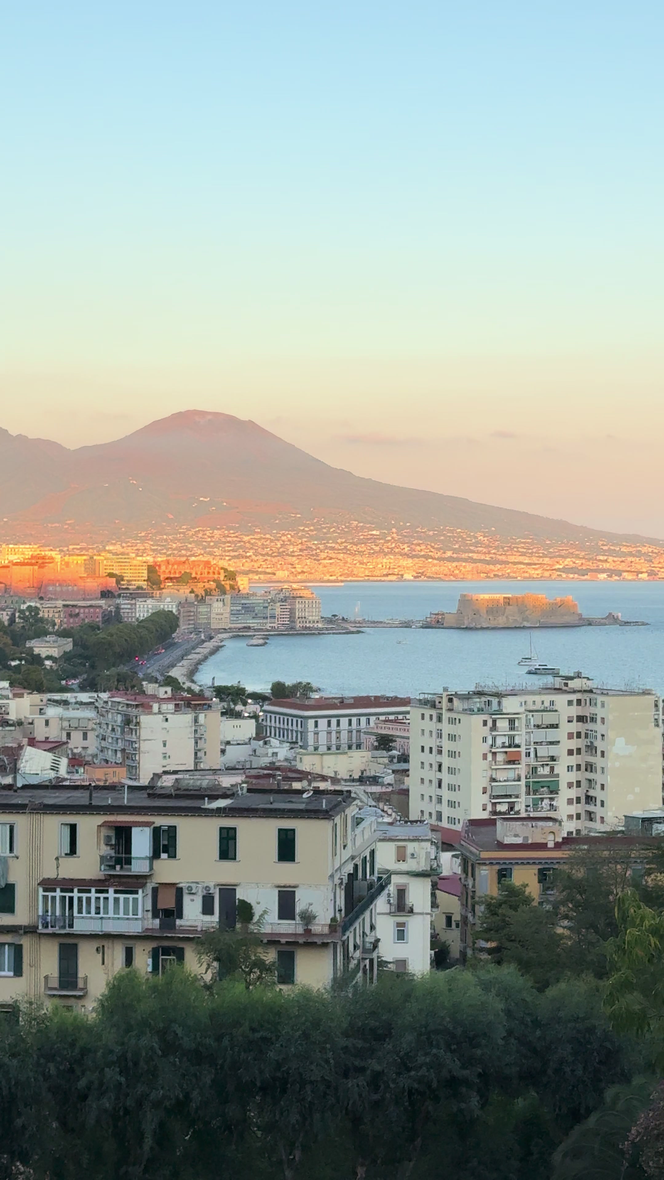 @Ristrutturazione della volpe