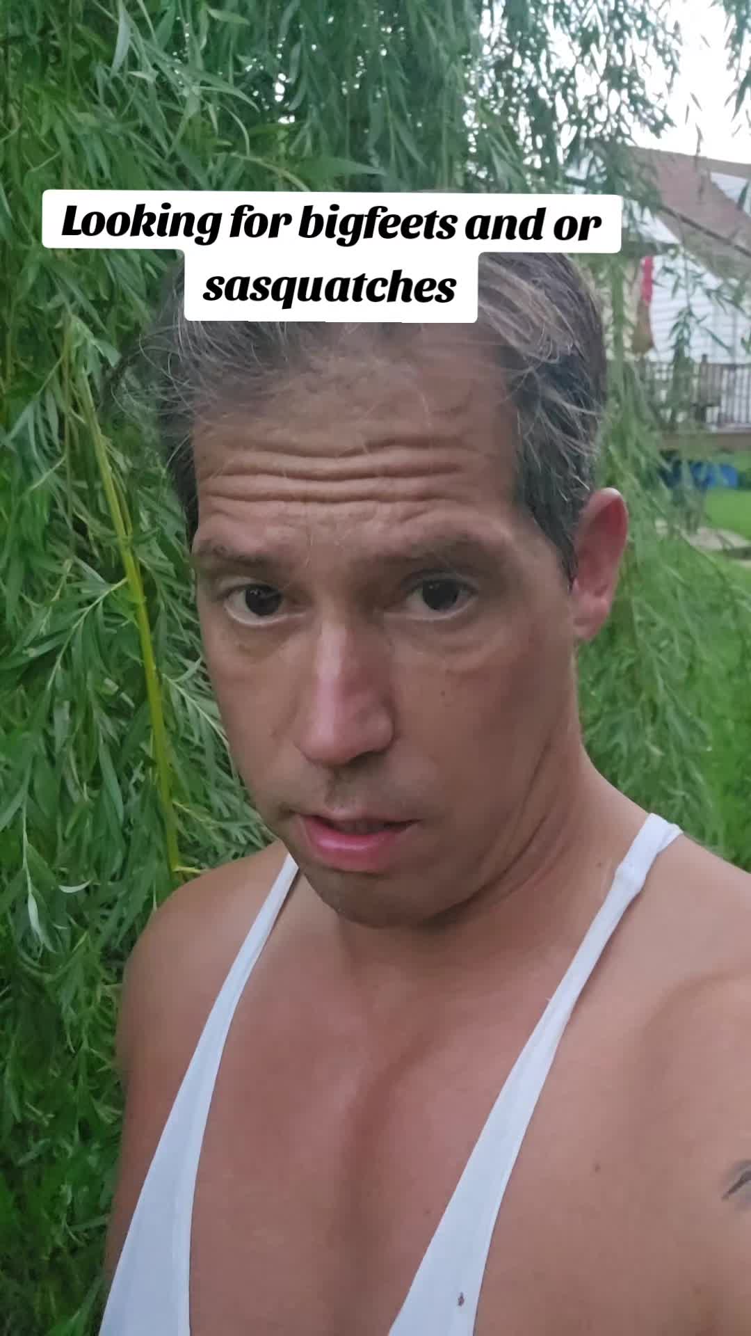 @Vonwulff