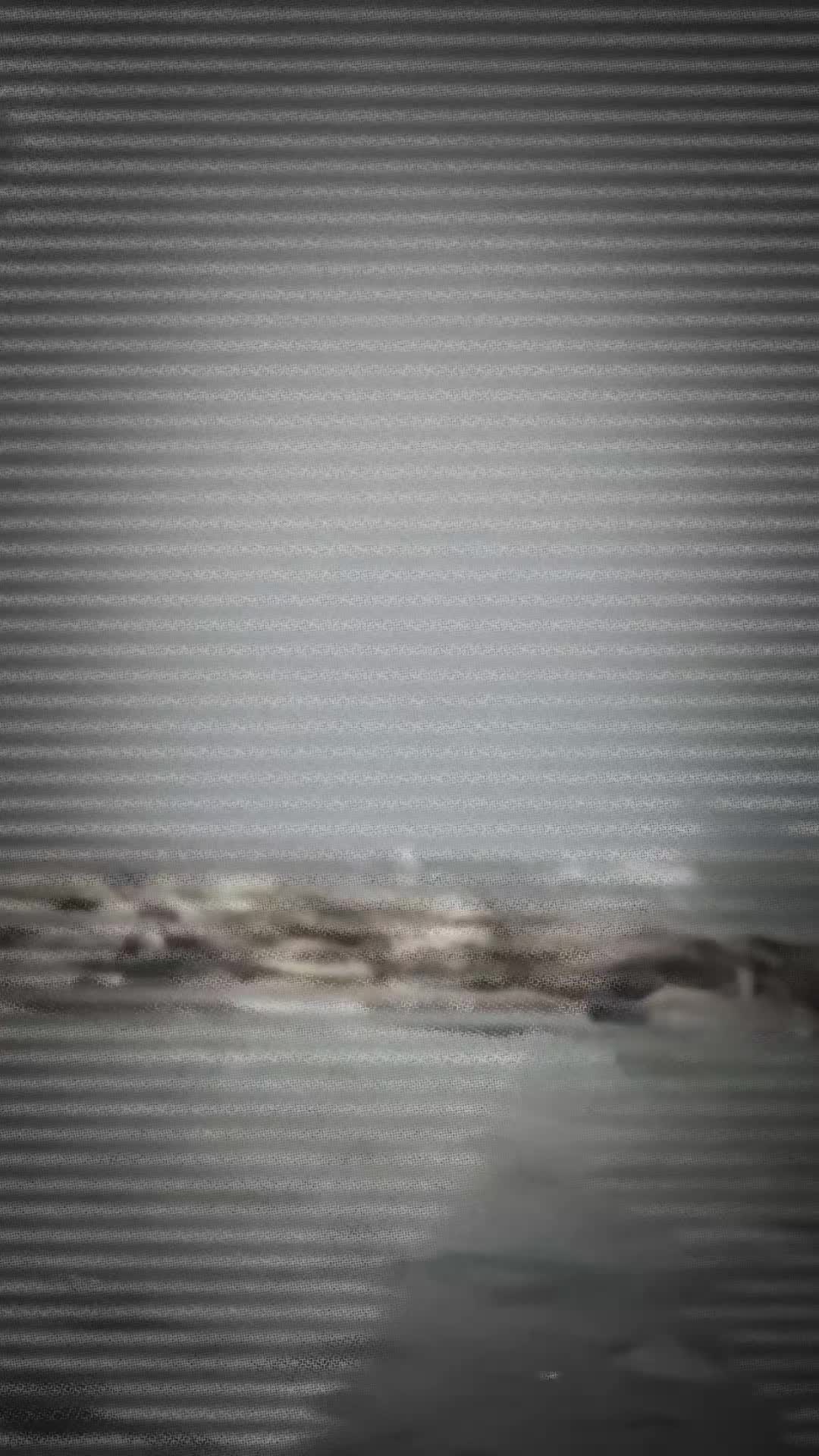 @🐾W&ouml;lfin🐾