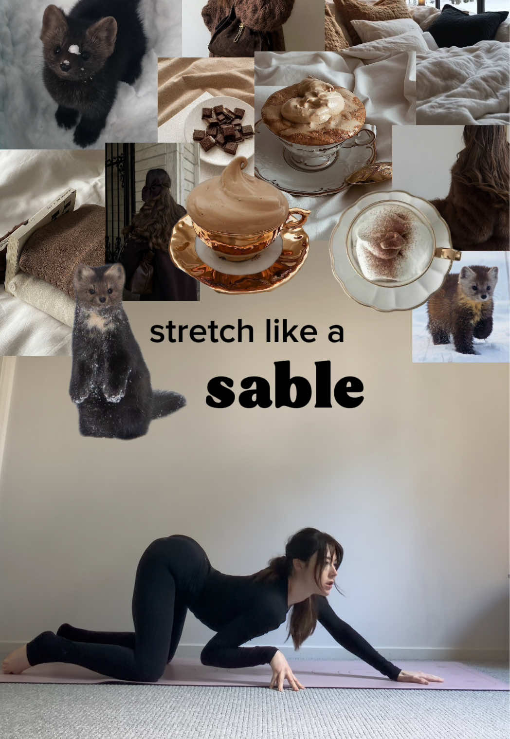 @Stretch with Shannon