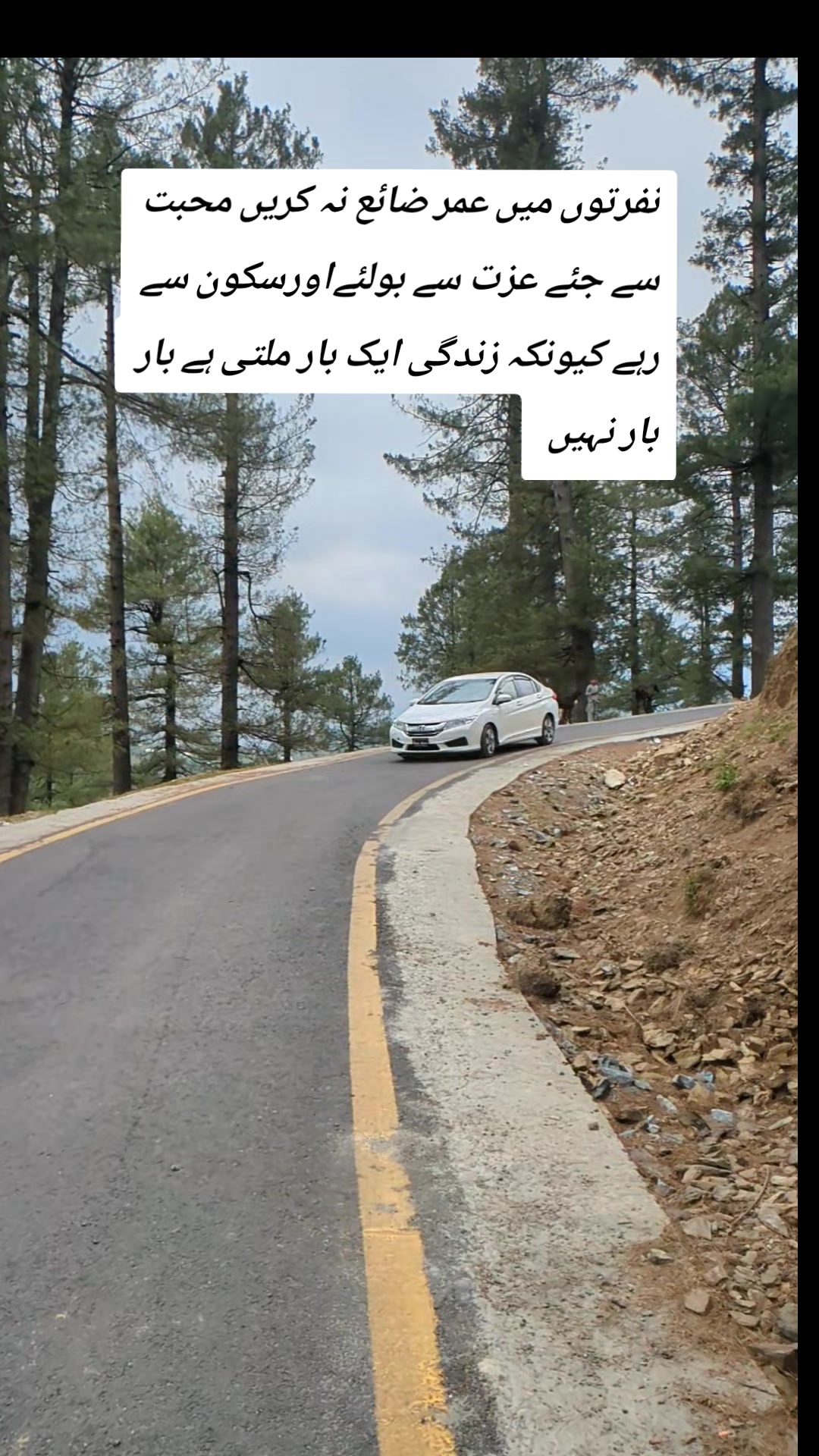 @Najeeb Zada