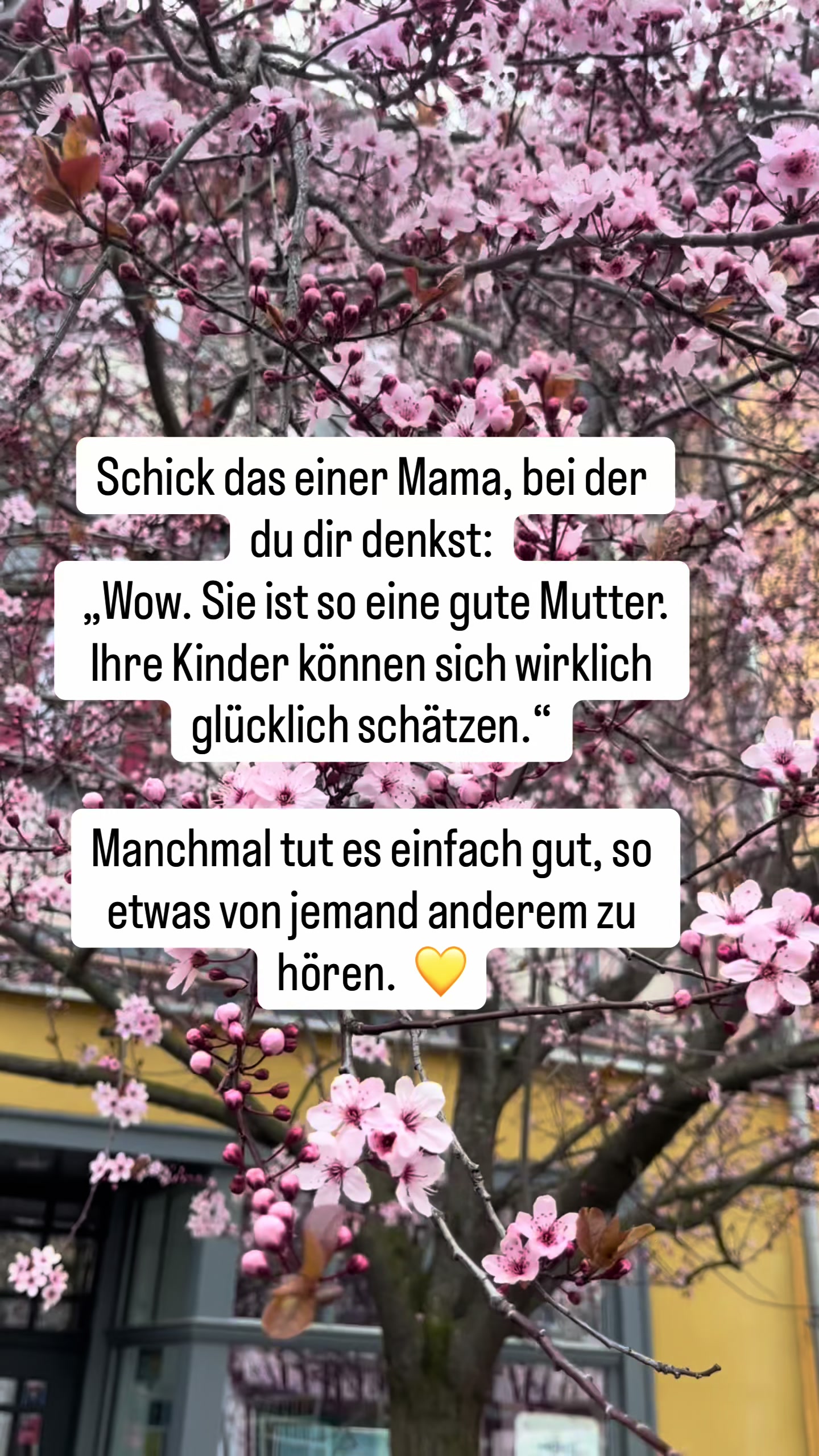 @🎀BossMamaJana🎀