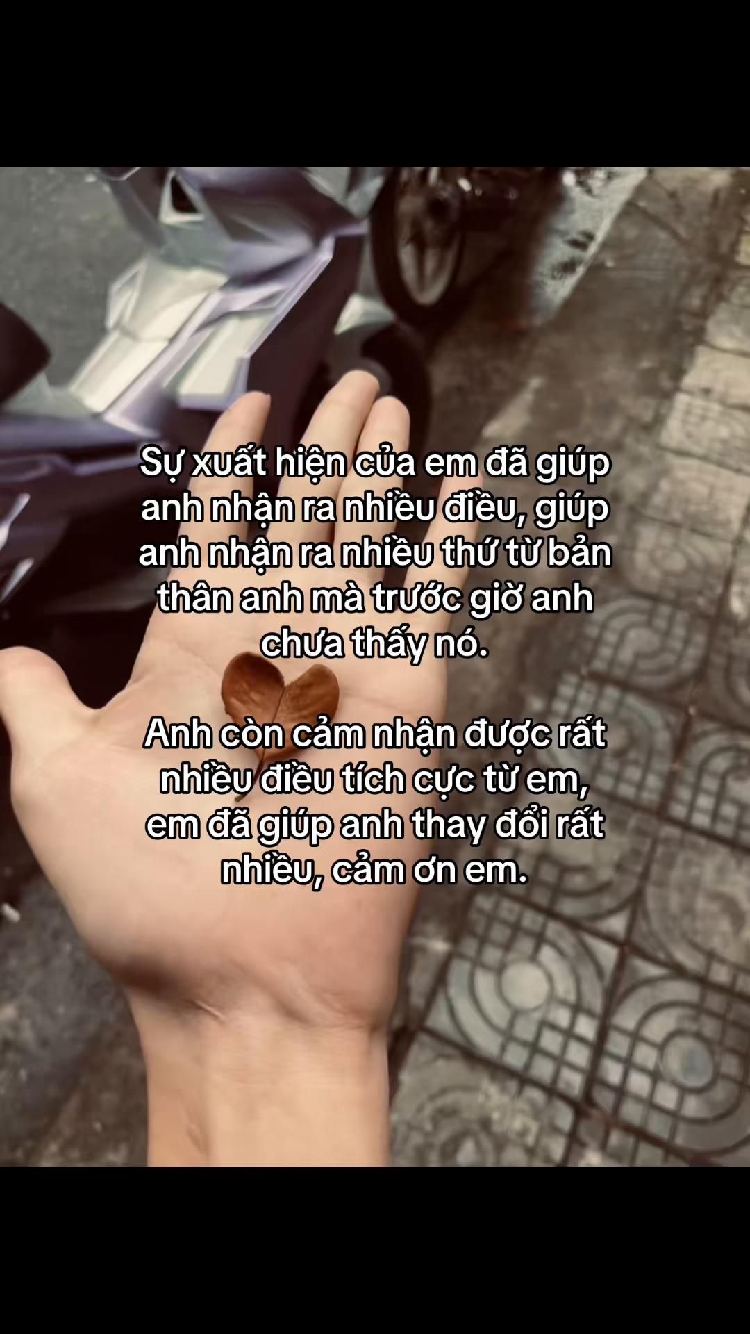 @Anh Tiền Hải Quan