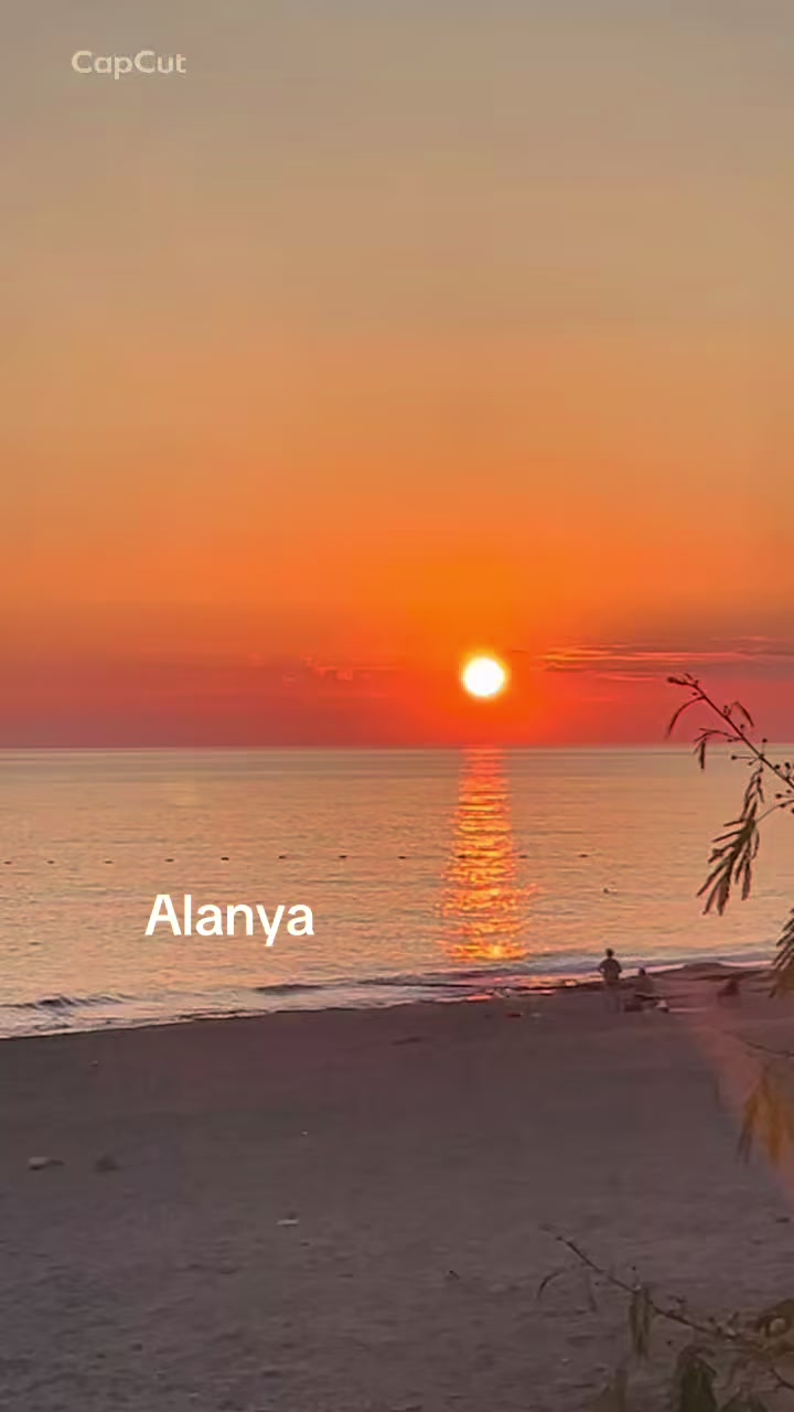 @dina