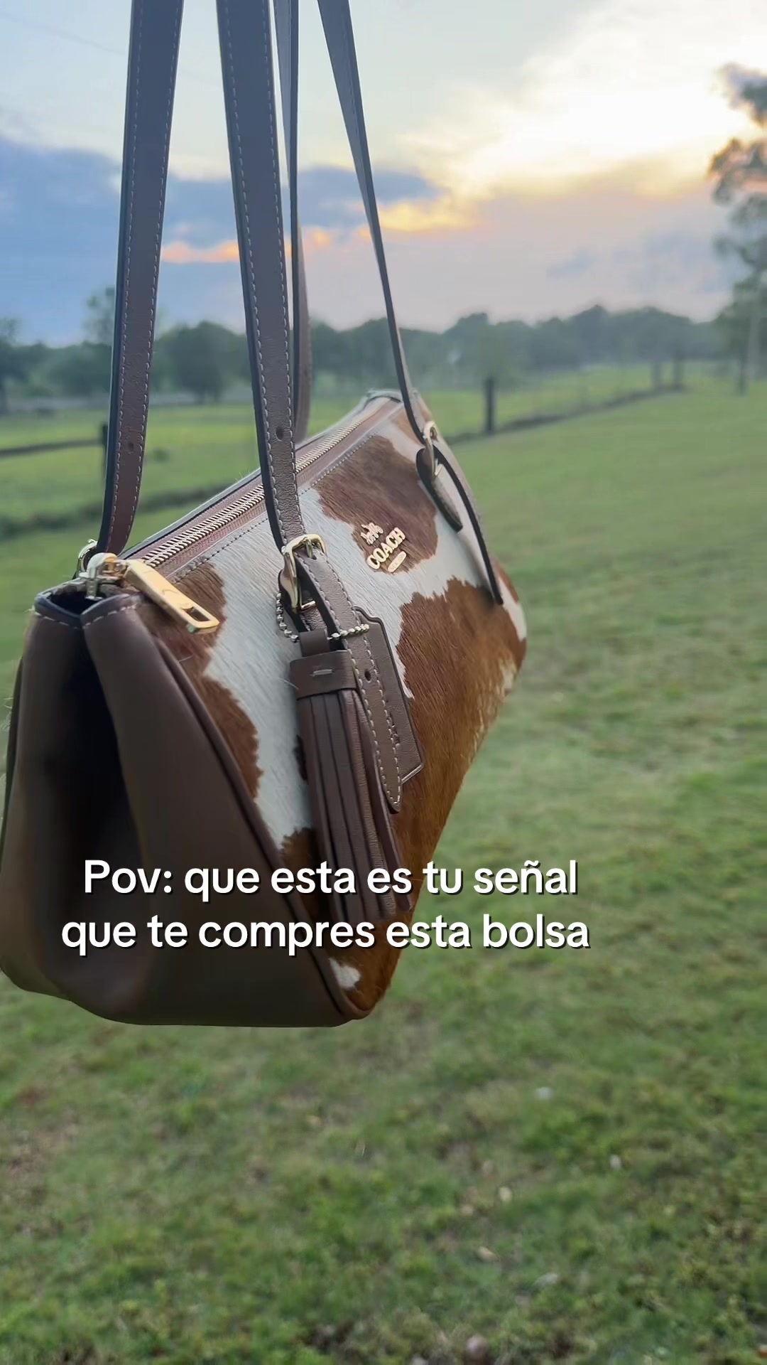 @Am&eacute;rica Montes