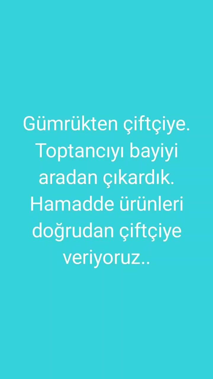 @Alanya avakado dünyası
