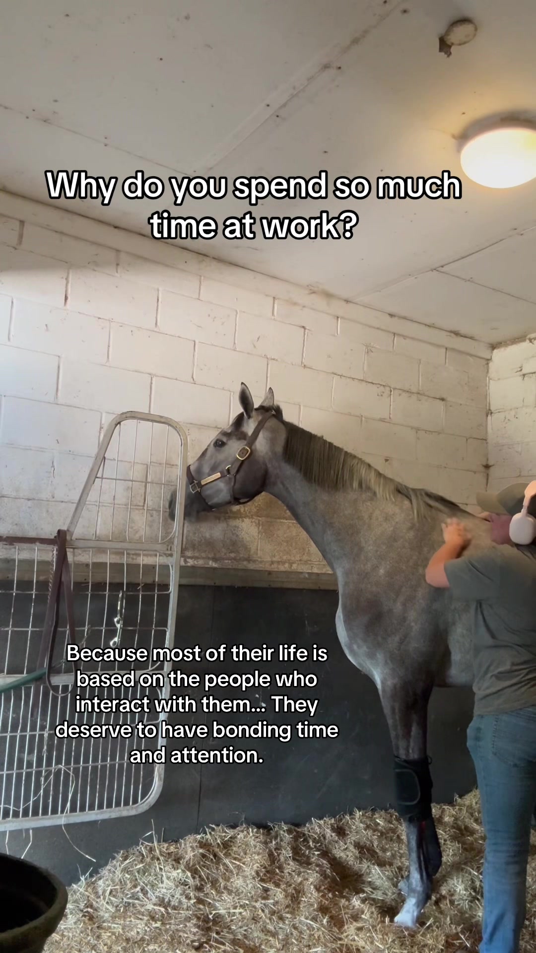 @Alpha Mare🇨🇦🏴󠁧󠁢󠁳󠁣󠁴󠁿
