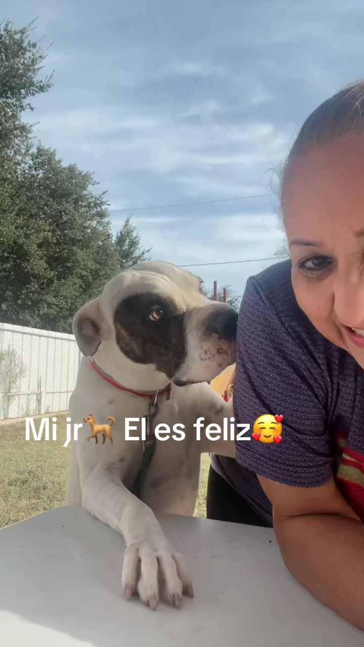 @elvia karime