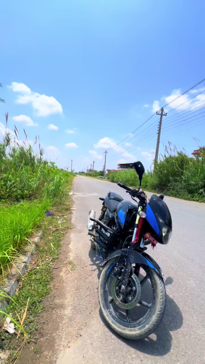 @Rupandehi ‘ तोप गोली👑🔥