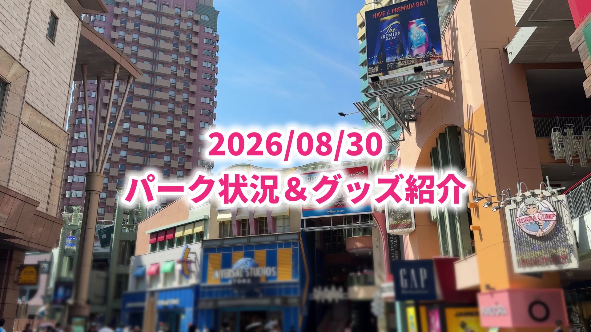 @しんるぴ 〜USJのある生活〜