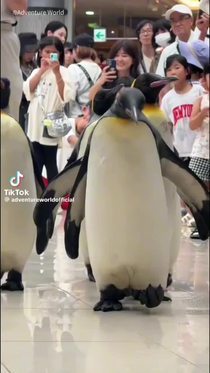 @Mumble but ๐ฏ๐ป๐ฎ๐ช๐ด๐