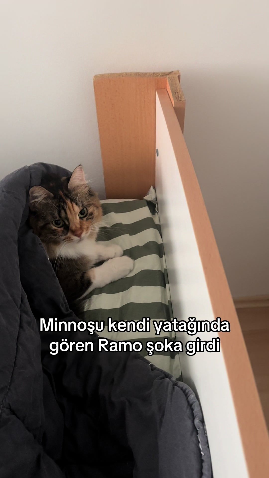 @konusankediminnos