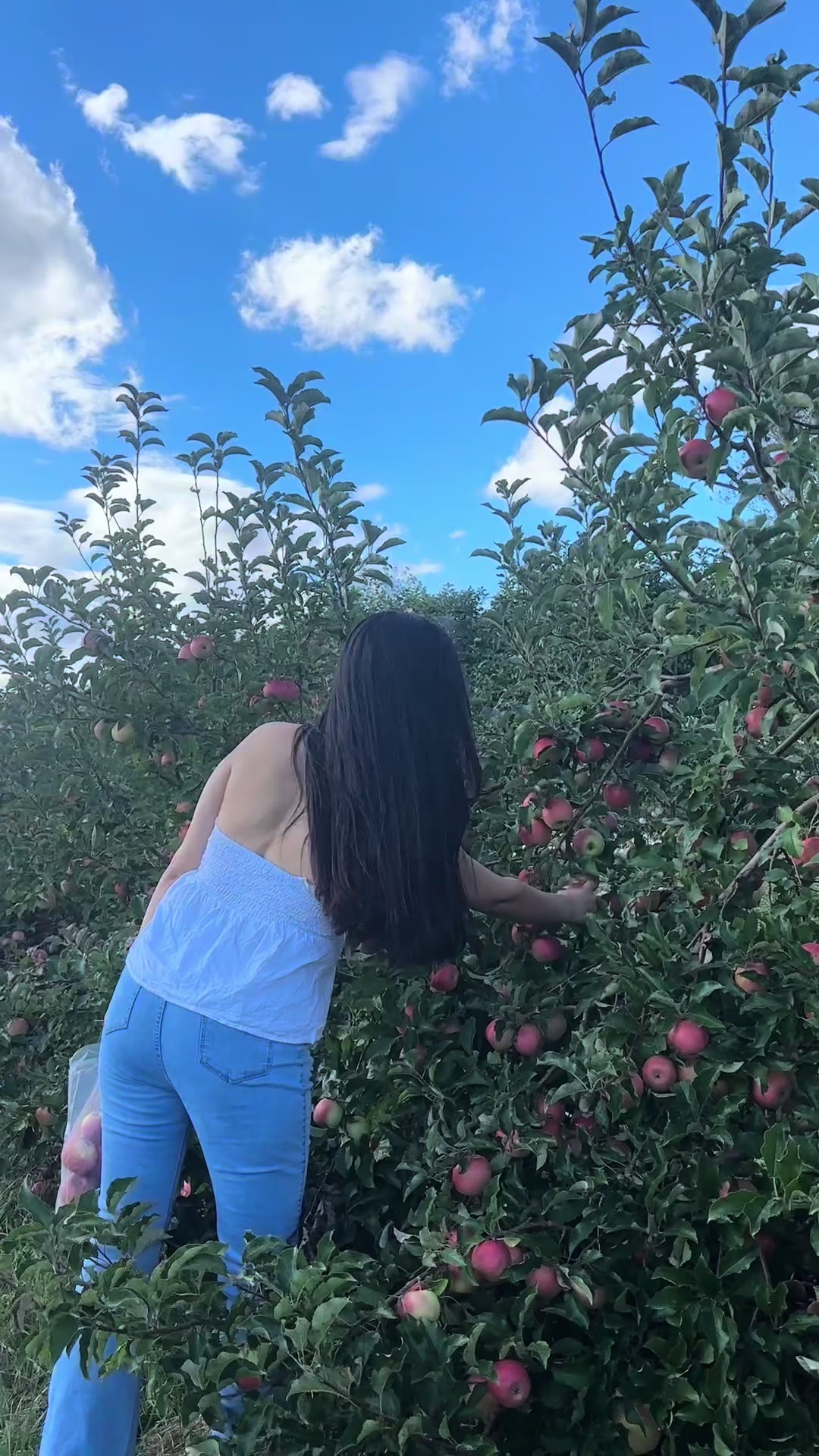 @Sartika Bhattaa
