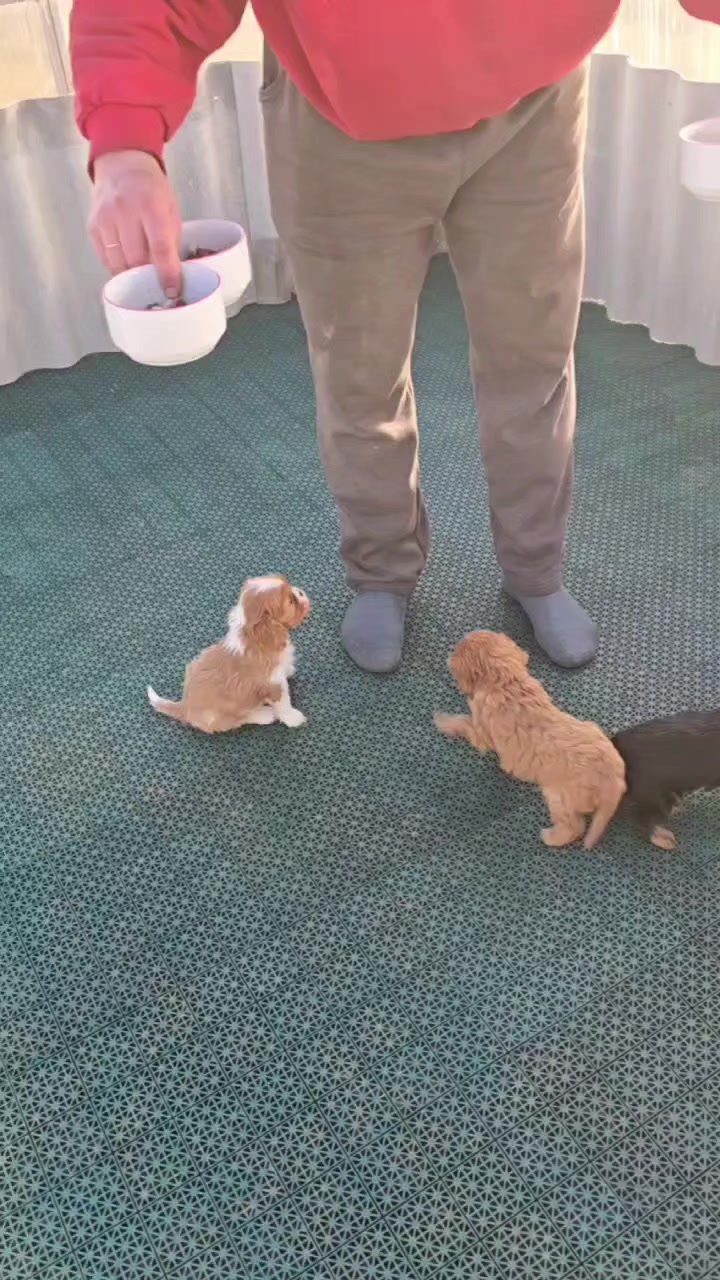 @Виктория