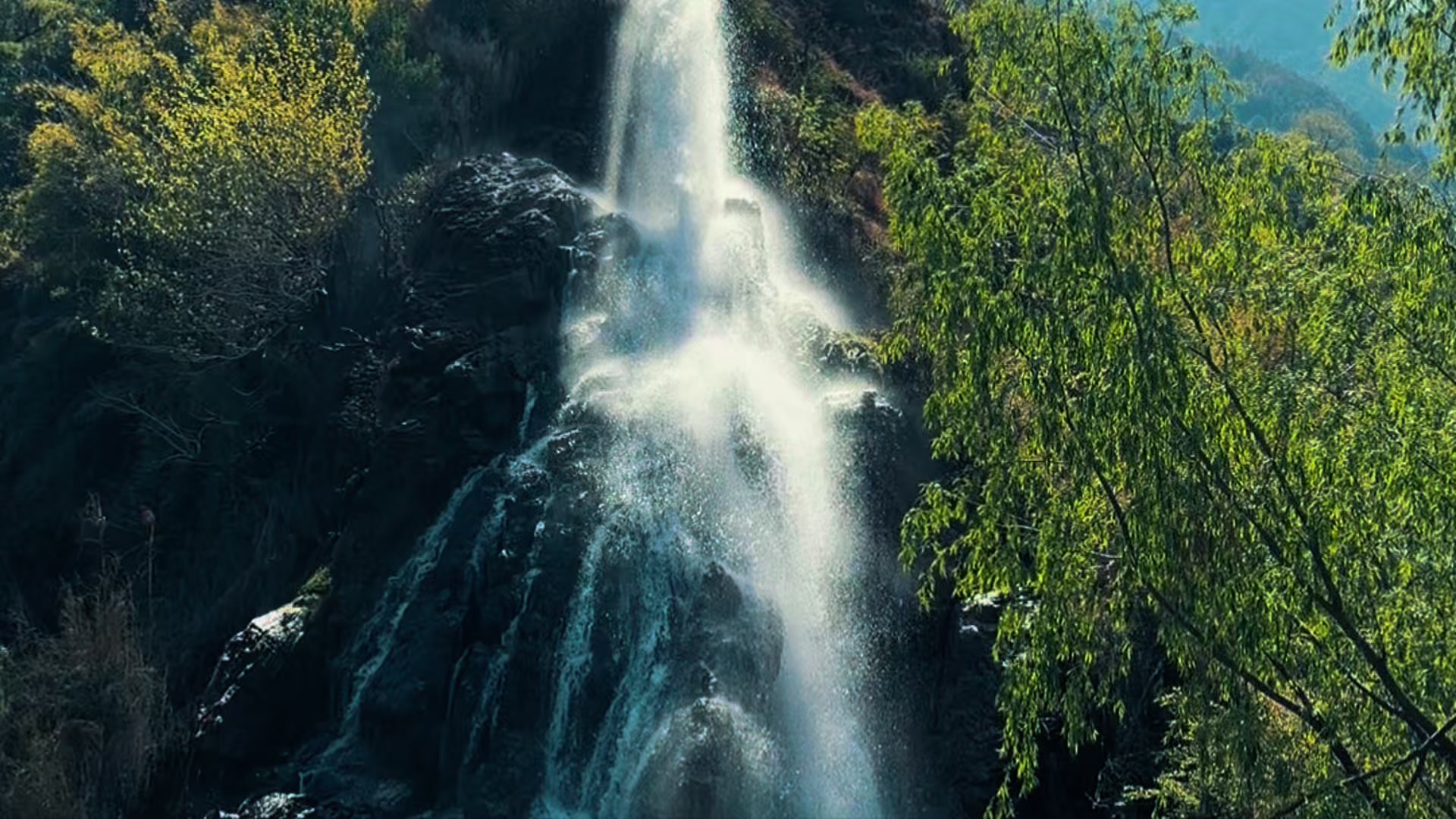 @𝑺𝒕𝒂𝒍𝒊𝒏𝒂 ✅️🇳🇵