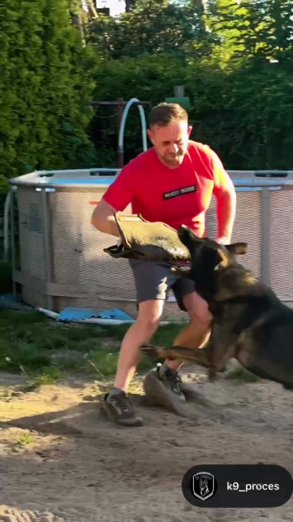 @k9spartan