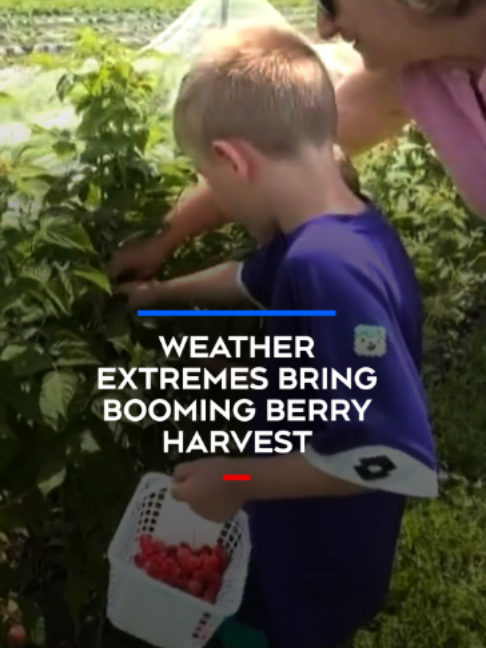 @ctvnewsottawa