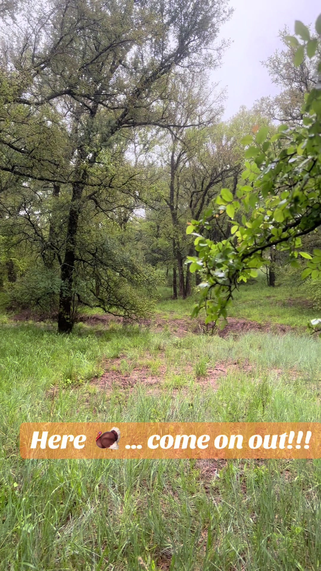 @bluecollarbbq