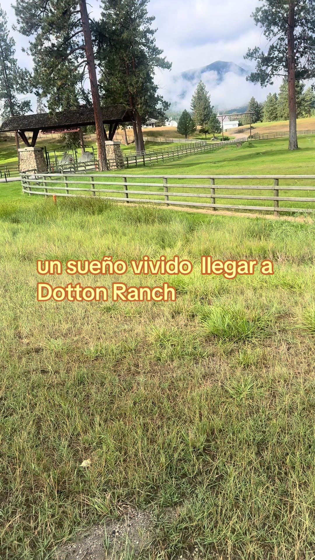 @fanto dallas 22