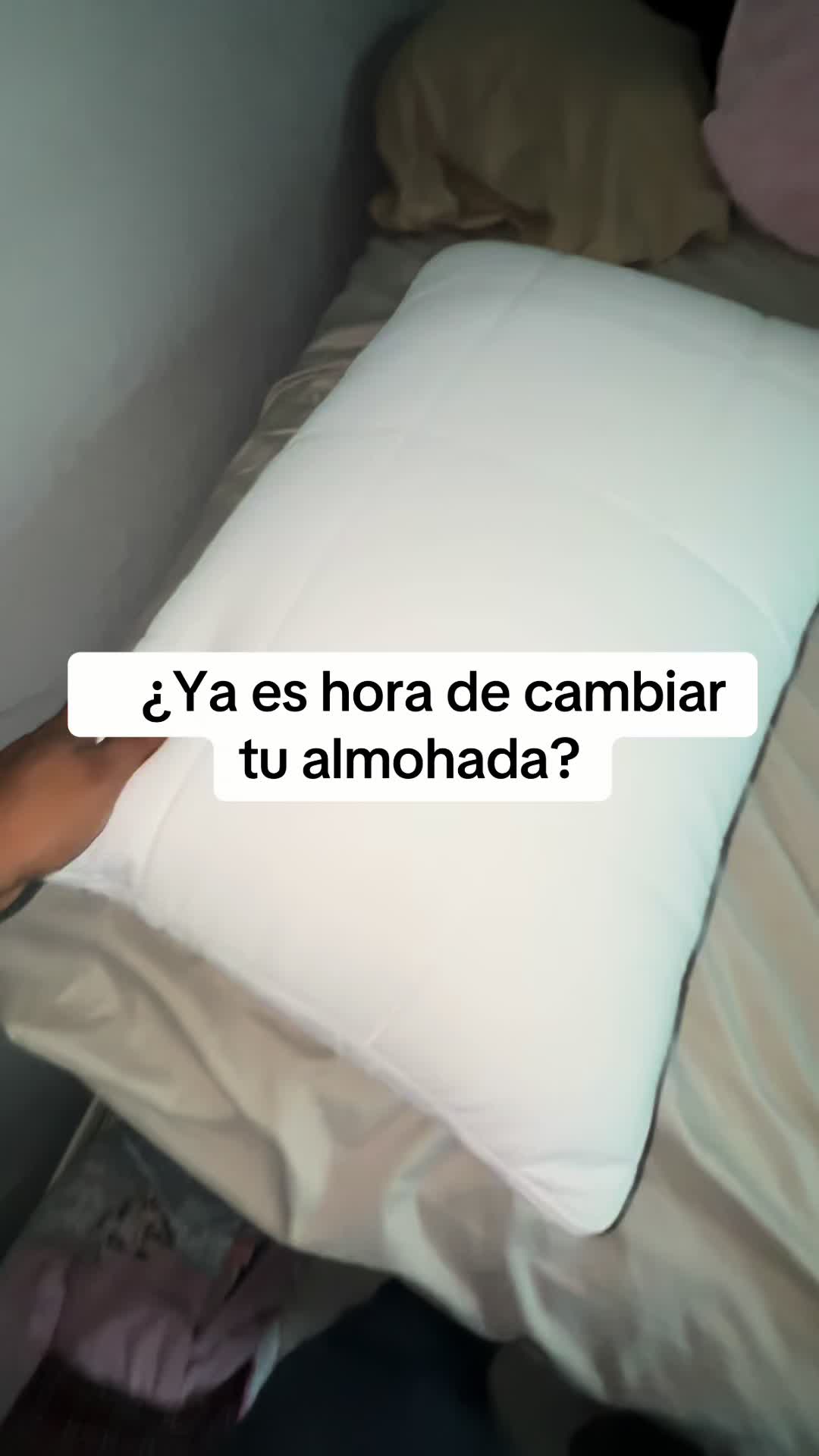 @angel_tts__888